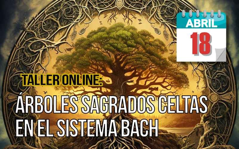 Árboles sagrados celtas en el sistema Bach
