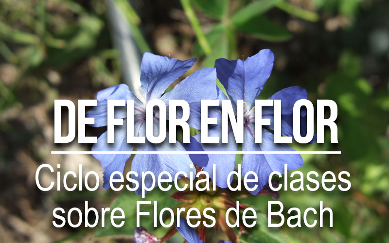 De Flor en Flor. Ciclo especial de clases online en directo